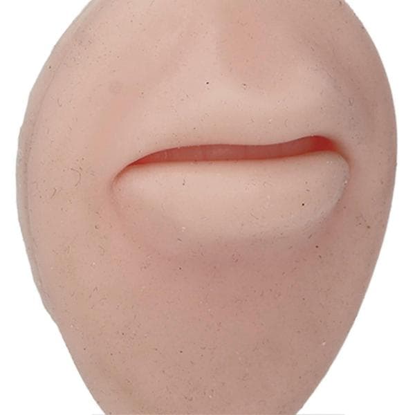 Piercing Kropsmodel 3D Simulation Silikone Mund Tunge Næse Model Sæt til Piercing Øvelse Medium Hudfarve[J]