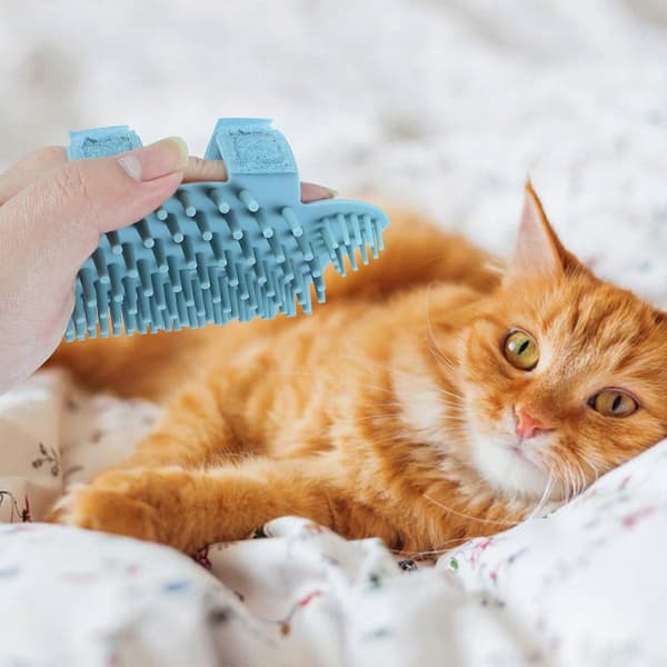 Silikon katt hörna borste för väggbruk med massagefunktion