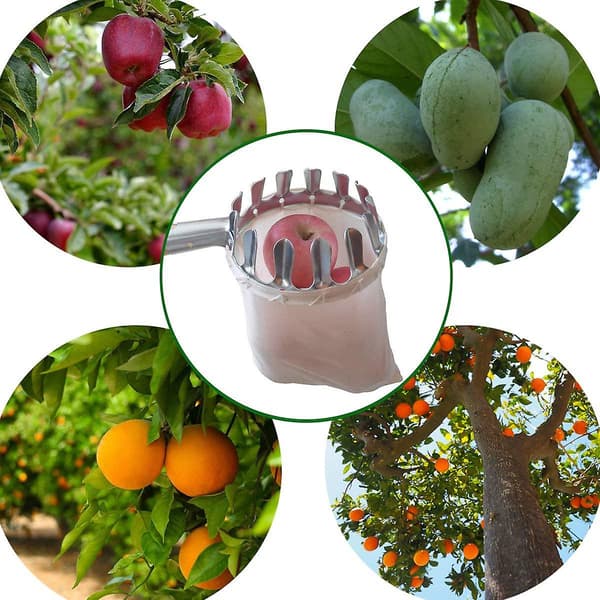 2-pack fruktplockningskorgar kompatibla med äpple citrus päron persika plockning