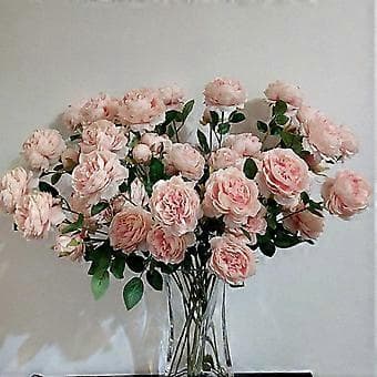 Høstrosa Levende Rose Blomsterbukett 3 Hoder Brudebukett