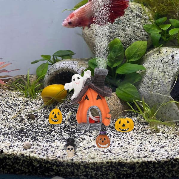 5 stk Akvariedekorasjonstilbehør Halloween Gresskarpyntsett