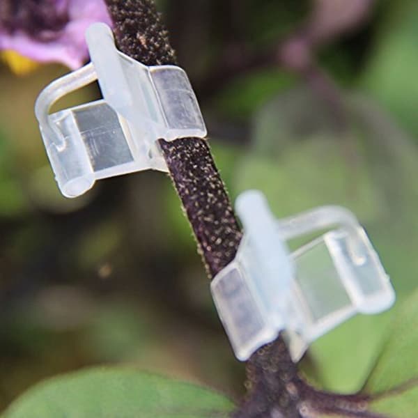 Förpackning med 100 transparenta växtympningsklämmor för tomater, grönsaker och blomstjälkar (transparent)[J]