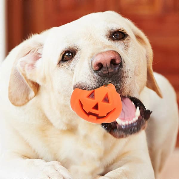 Talande Pumpaleksak 1 st Halloweenprydnad