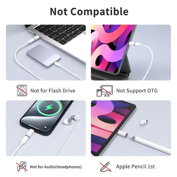 Lightning (hunn) til USB-C (hann) adapter