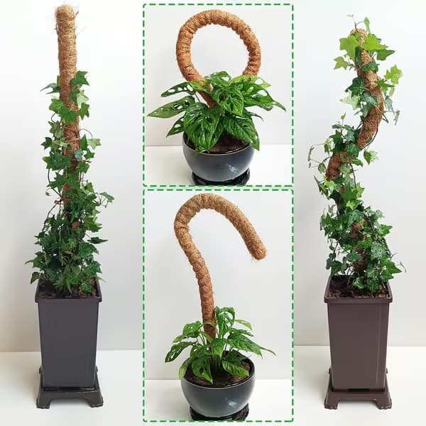 Mosssticka Böjbar 70-100cm, Växtstöd / stödpåle - Klätterväxter, 1 / 2-pack 1 st-80cm 1 st-80cm
