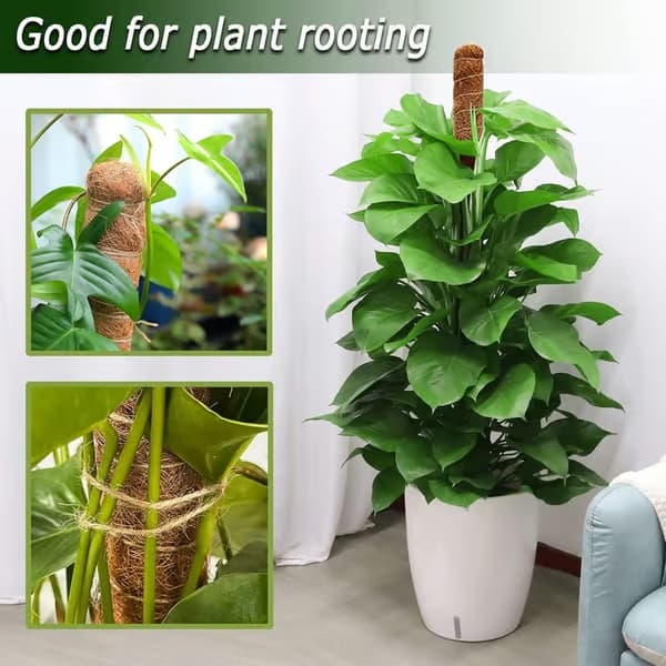 Mosssticka Böjbar 70-100cm, Växtstöd / stödpåle - Klätterväxter, 1 / 2-pack 1 st-80cm 1 st-80cm