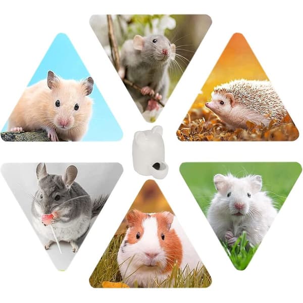 Keramisk hamster vattenflaska, hamsterskål, keramisk hamster vattenflaska