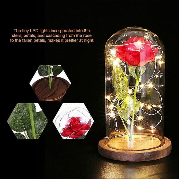 20 LED USB Roseblomst med Glaslåg Base Valentinsdag Bryllupsgave Brun