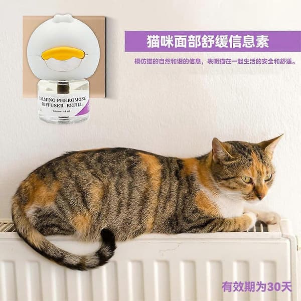 Kattferomon Beroligende Diffuser - Startsett med påfyll for 30 dager for stresslindring og avslapning Cat-US Spec