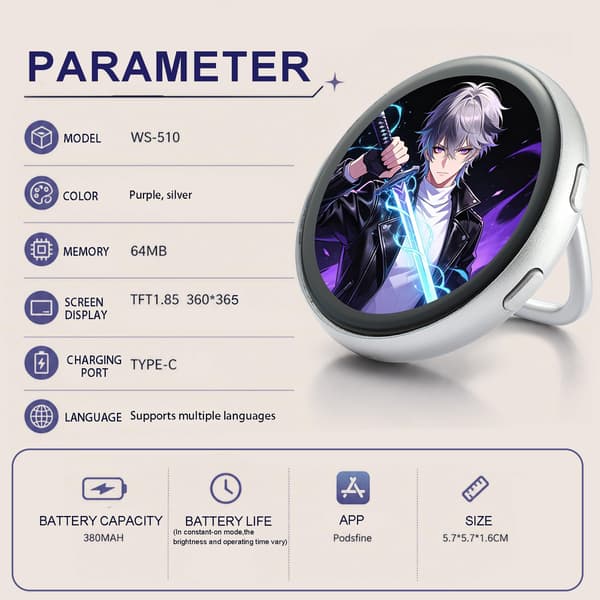 WSTER Bluetooth Digital Display-märke med appkontroll, silver Silver