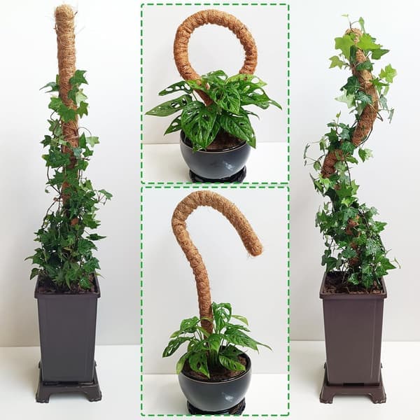 Moss Stick Böjbar 70 - 100cm, Växtstöd / Stödpåle - Klätterväxter, 1 / 2 - Förpackning 2 st - 90cm st - 90cm 2 st-90cm