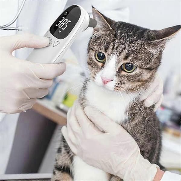 Elektronisk øretermometer til hunde og katte Berøringsfrit kæledyrstermometer