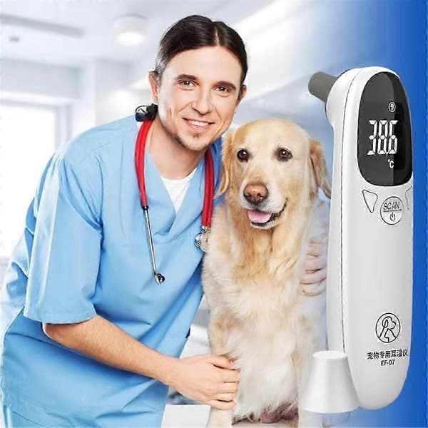 Elektronisk øretermometer til hunde og katte Berøringsfrit kæledyrstermometer