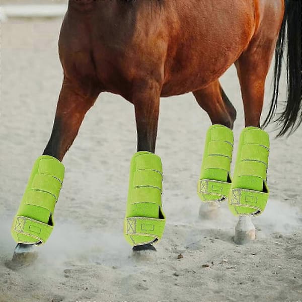 4x Hästskydd Ben Skydd Set Hållbara Hästskydd för Ridträning light green M