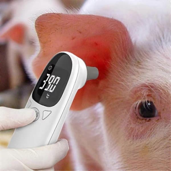 Elektronisk øretermometer til hunde og katte Berøringsfrit kæledyrstermometer