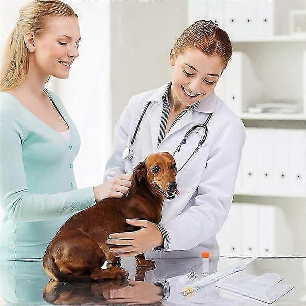 10 sæt avlssæt, kunstig befrugtning hund avlssæt egnet til små hunde