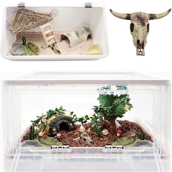 Terrarium dekoration tilbehør kranium af kvæg til krybdyr