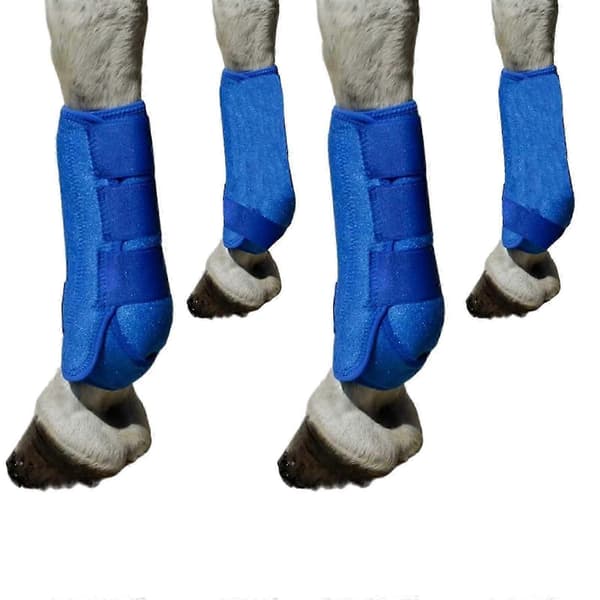 4x Hästskydd Ben Skydd Set Hållbara Hästskydd för Ridträning blue L