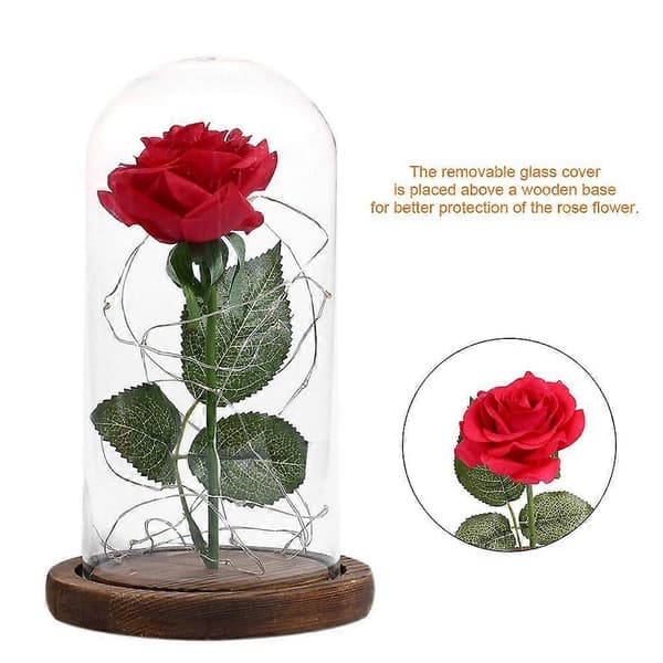 20 LED USB Roseblomst med Glaslåg Base Valentinsdag Bryllupsgave Brun