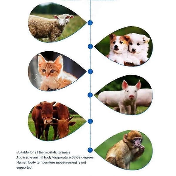 Elektronisk øretermometer til hunde og katte Berøringsfrit kæledyrstermometer