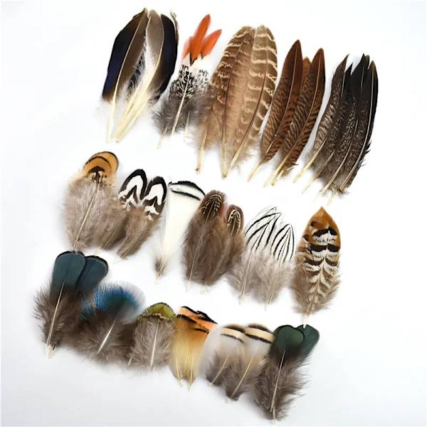 Wholesale Natural Peacock Pheasant Feathers Small Chicken Geese Feather Fly Tying Materials Handicraft Accessories Decoration