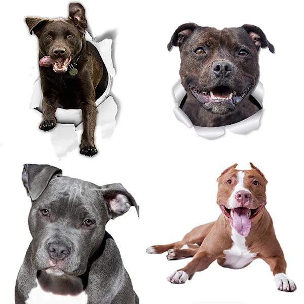 Three Ratels FTC1082 Stafford Bull Terrier Dog Wall Decals Frenchie Dog Toilet Sticker  3D Dog Car Window and Bumper Sticker