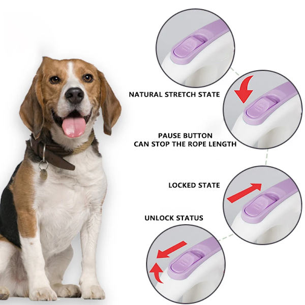 Nylon Material Pet Automatic Traction Rope 3 Meters In Length For Freedom