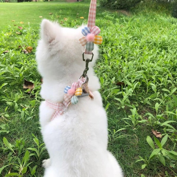 S&M Dogs and Pets Go Out with Towing Ropes and Cat Ropes Available All Seasons