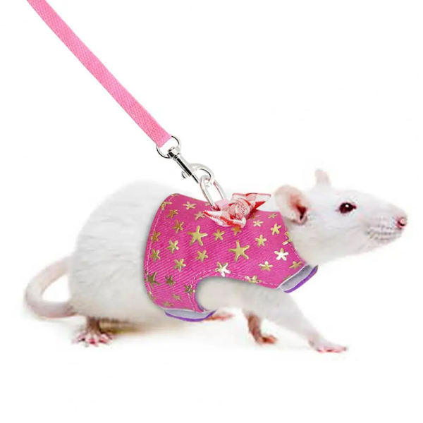 Pet Mesh Soft Harness Leash Small Animal Vest Lead Hamster Rabbit Traction Rope D-ring Design Washable 3 Colors Pet Harness Set