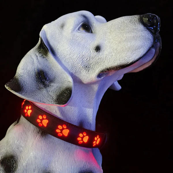 LED Colorful Pet Dog Glow Collar Walking Dog Traction Rope Single Footprint Glow Dog Ring USB Charging Neckband