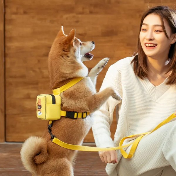 Pet Dog Backpack Towing Rope Small and Medium-sized Dog Chest Strap Walking Dog and Cat Rope Little Bear Rabbit Dinosaur Bag