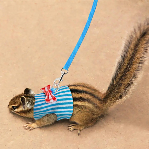 Pet Mesh Soft Harness Leash Small Animal Vest Lead Hamster Rabbit Traction Rope D-ring Design Washable 3 Colors Pet Harness Set