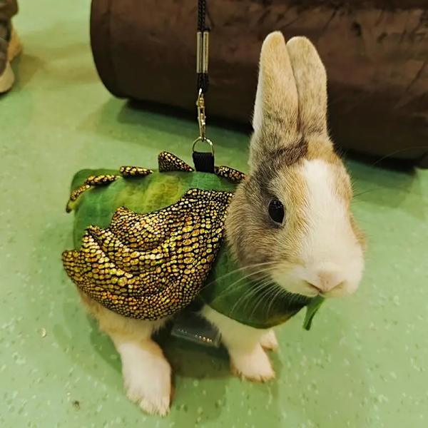 Lizard Traction Rope Reptile Bearded Dragon Harness Leash Cosplay Props Halloween Costume For Lizards Rabbits Other Pet Supplies