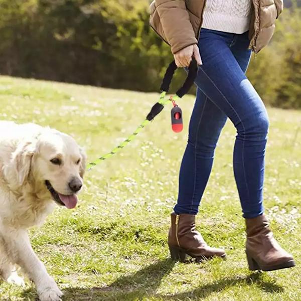 Pet Leash Reflective Strong Dog Leash 1.5M Long With Comfortable Padded Handle Heavy Duty Training Durable Nylon Rope Leashes