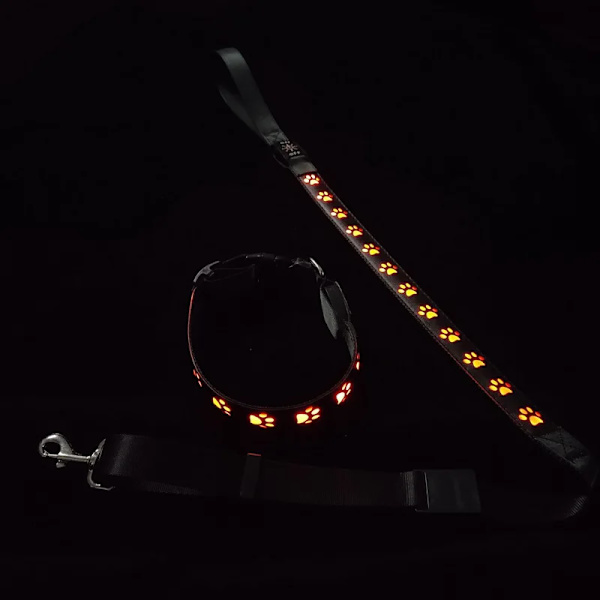 LED Colorful Pet Dog Glow Collar Walking Dog Traction Rope Single Footprint Glow Dog Ring USB Charging Neckband