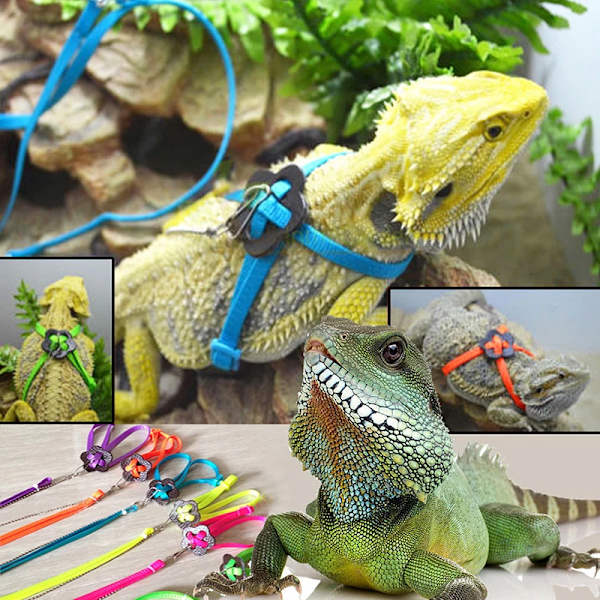 Reptile Leash Lizard Traction Rope Climbing Pet Leash Walking Control Rope For Reptile Amphibians Chain Version Strap Collar
