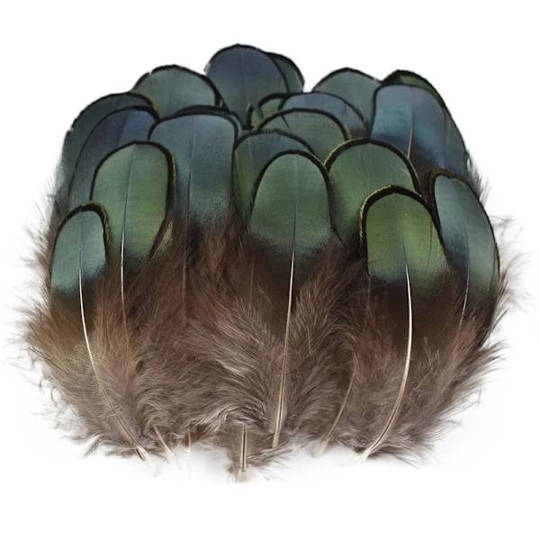 Wholesale Natural Peacock Pheasant Feathers Small Chicken Geese Feather Fly Tying Materials Handicraft Accessories Decoration