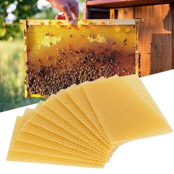 30 st Honeycomb-Foundation Vaxkakor Bikupa Vaxning Biodling Utr ExP