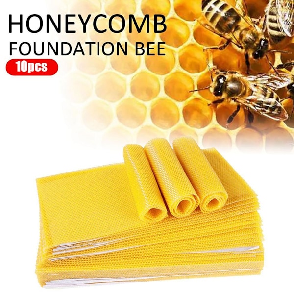 30 st Honeycomb-Foundation Vaxkakor Bikupa Vaxning Biodling Utr ExP