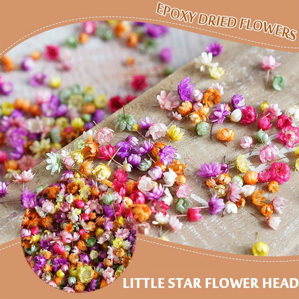 Riktiga torkade blommor för gör-det-själv konsthantverk Epoxihartsljusstillverkning Je color 280 flower heads