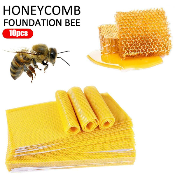 30 st Honeycomb-Foundation Vaxkakor Bikupa Vaxning Biodling Utr ExP