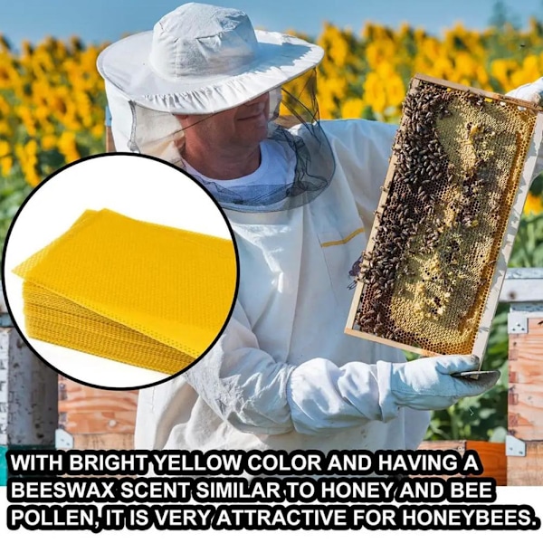30 st Honeycomb-Foundation Vaxkakor Bikupa Vaxning Biodling Utr ExP