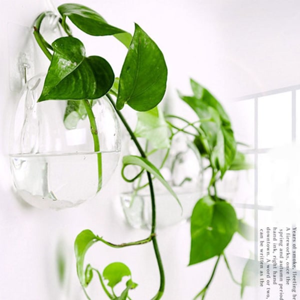 Kreativ Vägg Glas Vas Vägghängande Akvarium Hängande Vas Vardagsrum Väggdekoration H0u5 TransparentB 12cm