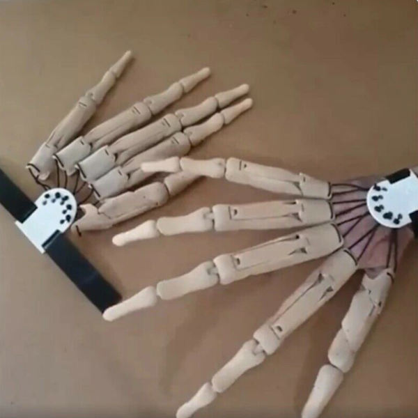3D Halloween Painetut nivelletyt sormien jatkeet koriste White Left hand