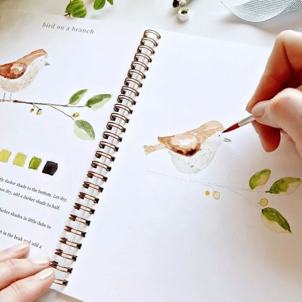 Akvarel Workbook 12 Farver Akvarel Øvelsesbog Malersæt Til Begyndere Birds