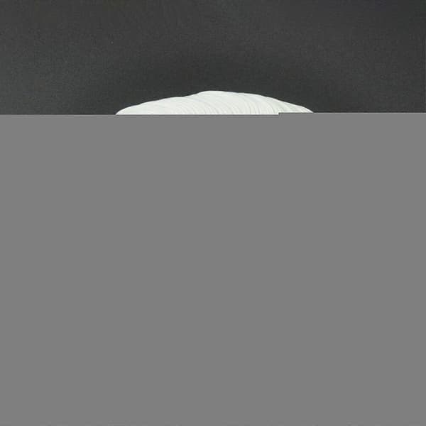 100 st Nya Medium 0,71 mm Blanka Plektrum Celluloid Solid Vit