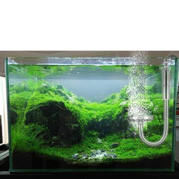 5L Dubbel Akvarium CO2 Generator System Kit CO2 Cylinder Generator System med Magnetventil Bubbel Diffusor Koldioxid
