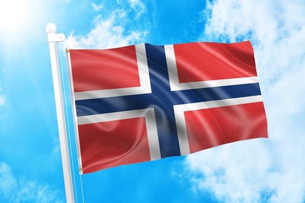 Norges nationalflag, falmebestandigt udendørs- og indendørsflag (90x150 cm)