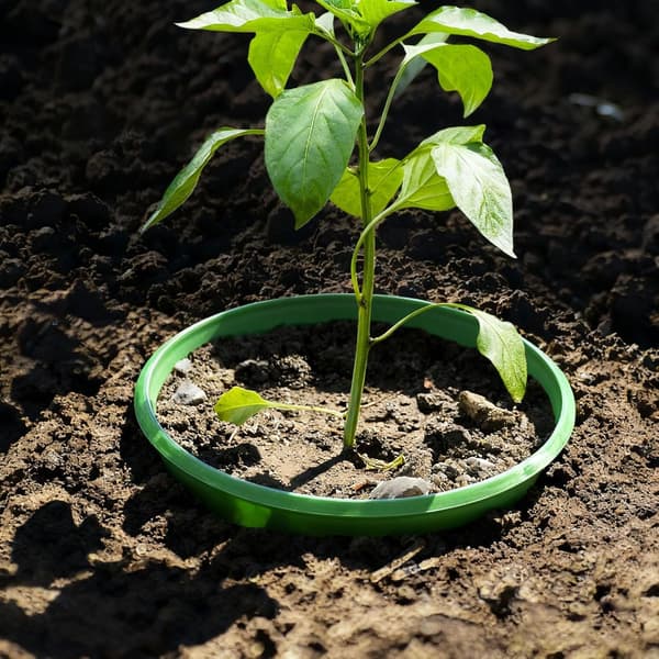 9\" planteringsring, robusta odlings- och vattenringar, växtskydd, isolerar stenar, vertikal design för trädgårdsbäddar, gräsmatta och landskap, 6-pack