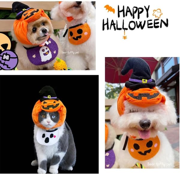 Hunde græskar kostume Halloween kat græskar outfit sjovt hvalpetøj til små hunde kæledyrsfest cosplay tilbehør (37*9*9cm)